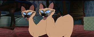 siamese cats.jpeg